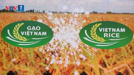 Xây dựng thương hiệu gạo Việt nhìn từ Festival lúa gạo năm 2018 (20/12/2018)