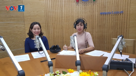 Thị trường lao động dịp cuối năm: Cẩn thận kẻo mắc bẫy tuyển dụng (26/12/2018)