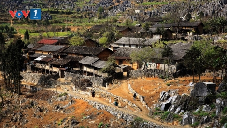Farmstay - Nông nghiệp bền vững cho bà con dân tộc thiểu số ở Đồng Văn, Hà Giang (2/12/2018)