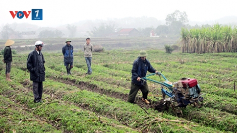 Đẩy mạnh tái cơ cấu nông nghiệp gắn với xây dựng nông thôn mới (4/12/2018)