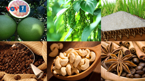 Chìa khóa để nông sản Việt vươn ra thị trường thế giới (27/12/2018)