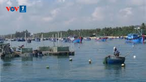 Phương thức đồng quản lý  trong bảo vệ tài nguyên thủy sản (22/11/2018)