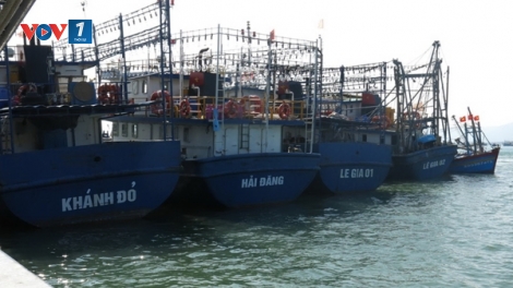 Hiện đại hóa trang thiết bị tàu cá và những lưu ý bà con ngư dân khi lắp đặt (15/12/2018)
