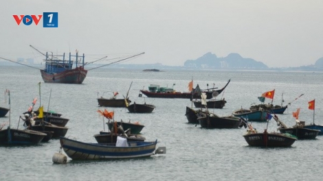 Cấp hạn ngạch khai thác để bảo vệ nguồn lợi thủy sản (3/12/2018)
