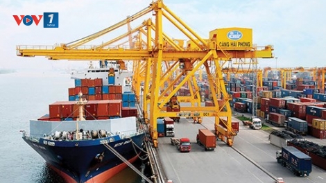 Hải Phòng: Chính thức triển khai Hệ thống Quản lý Hải quan tự động tại cảng biển (2/2/2018)
