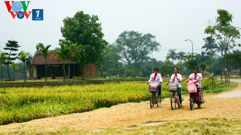 Yên ấm những miền quê