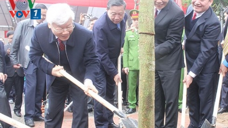 Trồng cây để đất nước thêm xuân (20/2/2018)