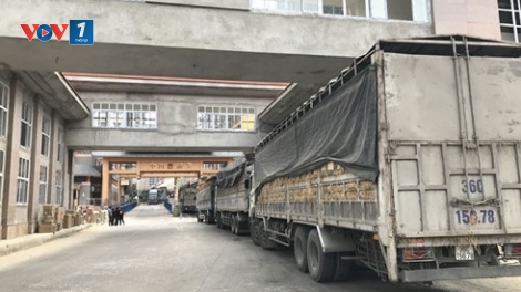 Ùn tắc hàng nghìn xe hoa quả và những nút thắt cần tháo gỡ. (07/02/2018)