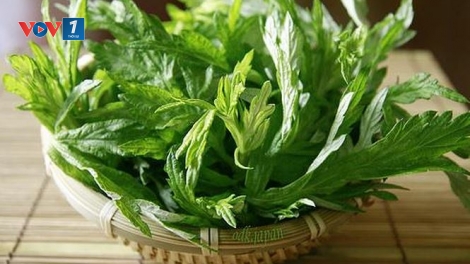 Phòng và hỗ trợ điều trị liệt mặt méo miệng bằng phương pháp cứu ngải (3/3/2018)