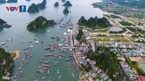 Thiết kế mô hình tổ chức bộ máy và cơ chế ưu đãi cho các đơn vị hành chính kinh tế đặc thù (21/3/2018)