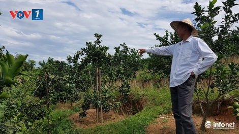 Giảm nghèo ở Hà Tĩnh chưa thực sự bền vững (13/03/2018)