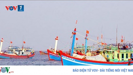 Quyết liệt chống đánh bắt bất hợp pháp (19/3/2018)