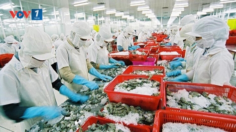 Từ thẻ vàng EC nhìn lại ngành thủy sản (20/4/2018)