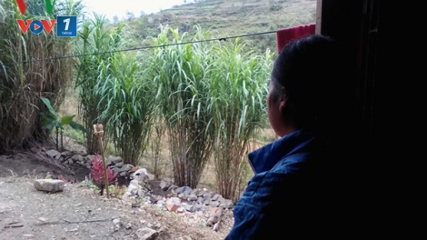 Để phụ nữ không bị lừa bán qua biên giới (25/4/2018)