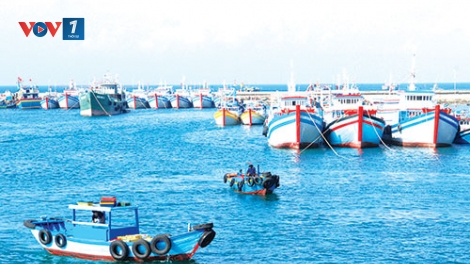 Bình Thuận ngăn chặn tàu cá ngư dân xâm phạm vùng biển nước ngoài (29/4/2018)