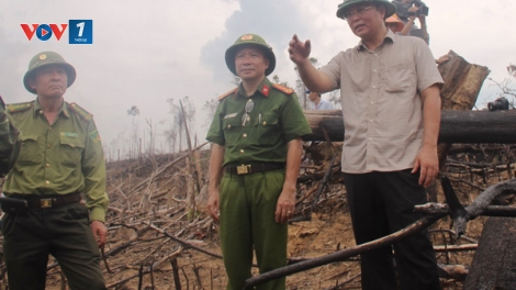 Cô đơn giữ rừng (17/5/2018)