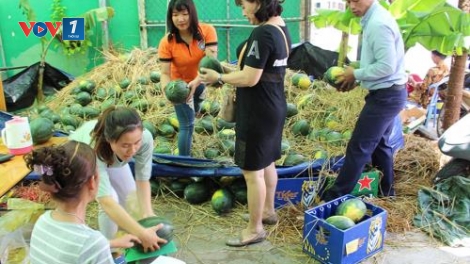 Tìm đầu ra cho thị trường nông sản – Bài toán khó (7/5/2018)