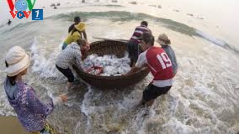 Hai năm xử lý sự cố môi trường biển miền Trung (29/5/2018)