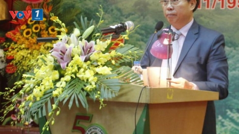 Lực lượng kiểm lâm trong cuộc chiến bảo vệ rừng (21/5/2018)