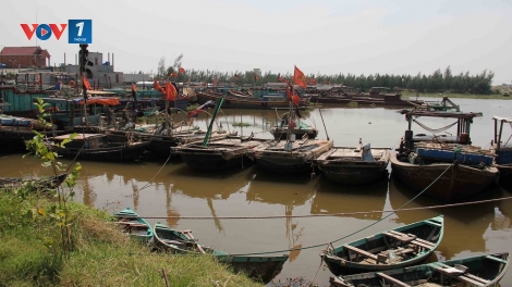 Huyện Tiền Hải, tỉnh Thái Bình làm giàu từ biển (21/5/2018)