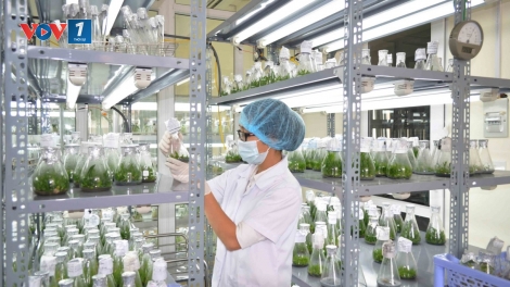 Làm thế nào để quản lý, tiếp cận và chia sẻ lợi ích từ việc sử dụng nguồn gen? (28/5/2018)