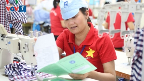 Nợ đọng bảo hiểm: Trách nhiệm của chủ sử dụng lao động (15/5/2018)