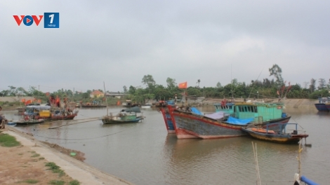 Thực trạng năng lực cảng cá, bến cá ở nước ta hiện nay (15/6/2018)