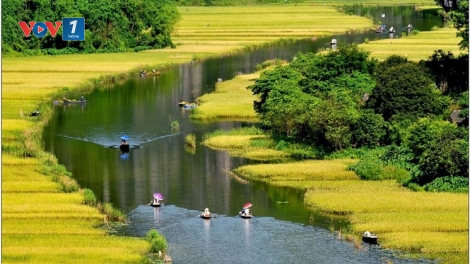 Tuần Du lịch Ninh Bình năm 2018 với chủ đề “Sắc vàng Tam Cốc - Tràng An” (12/6/2018)