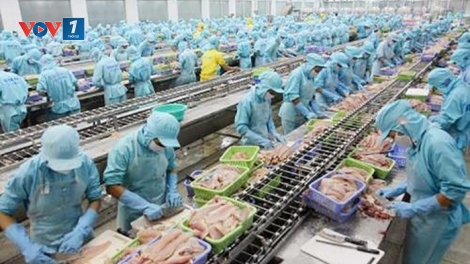 Việt Nam nỗ lực gỡ bỏ “thẻ vàng” của Liên minh châu Âu đối với thủy sản (8:05 giây)