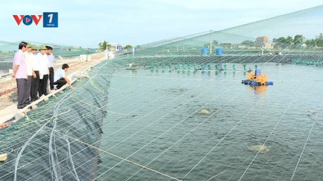 Huyện Kim Sơn, tỉnh Ninh Bình giải quyết tình trạng thủy sản nuôi ven biển bị chết bằng cách nào? (16/7/2018)