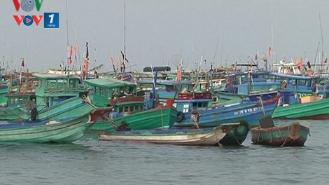 Giám sát hành trình tàu cá: Khó vẫn phải làm (8/7/2018)