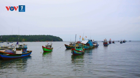 Ngư dân đánh bắt xa bờ cần trang bị kiến thức về bão và áp thấp nhiệt đới như thế nào? (23/7/2018)