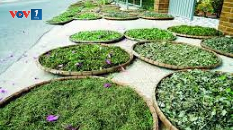 Góc khuất đằng sau câu chuyện có bệnh thì vái tứ phương (20/7/2018)
