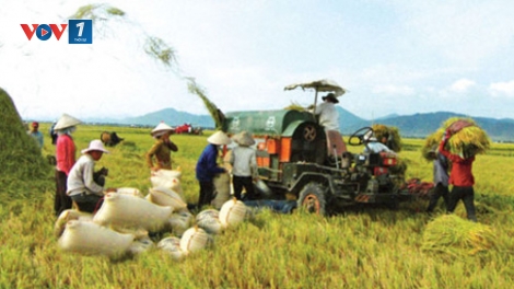 Việt Nam hướng đến nền kinh tế tuần hoàn, thực hiện các mục tiêu phát triển bền vững (23/7/2018)