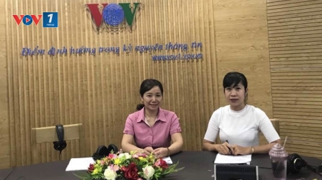 Việc làm an toàn, bền vững - phù hợp với nhu cầu thị trường lao động (11/8/2018)