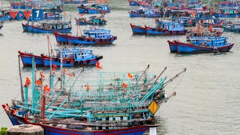 Để ngư dân có thể chủ động ứng phó với mưa bão (15/8/2018)