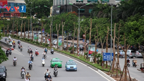 An toàn về nhà (6/8/2018)