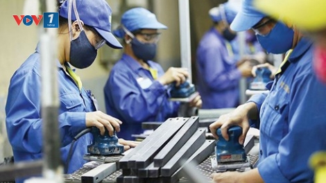 Cắt giảm điều kiện kinh doanh: Tiến độ “cởi trói” cho doanh nghiệp vẫn còn rất chậm chạp (15/8/2018)