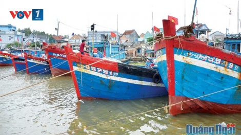 Quảng Ngãi thiếu lao động nghề cá (8/8/2018)