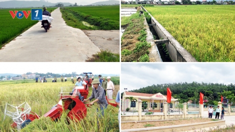 10 năm: Bước chuyển biến lớn về nông nghiệp, nông dân, nông thôn (8/8/2018)