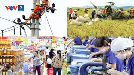 Nước rút hoàn thành chỉ tiêu cuối năm (31/8/2018)