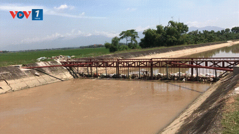 Lưới chắn rác ở Vĩnh Phúc, hiệu quả hay lãng phí? (10/9/2018)