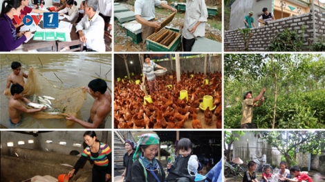Làm gì để ngăn chặn hiệu quả hành vi trục lợi chính sách giảm nghèo? (25/9/2018)