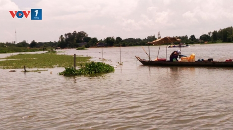 Các địa phương đồng bằng sông Cửu Long ứng phó với lũ (27/9/2018)