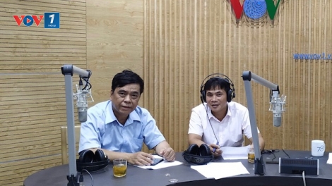 Các biện pháp tư pháp và xử lý chuyển hướng đối với người chưa thành niên phạm tội trong Bộ Luật hình sự (12/9/2018)