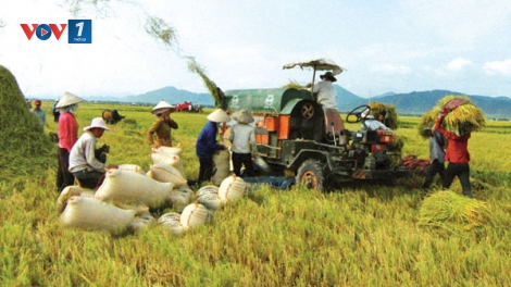 Những yếu tố tạo nên sự thay đổi về “chất” trong mô hình Hợp tác xã kiểu mới (9/1/2019)