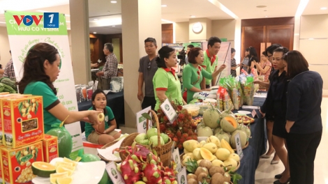 Trung tâm kết nối sản xuất, tiêu thụ nông sản: Tiếp sức cho nông nghiệp sạch (18/1/2019)