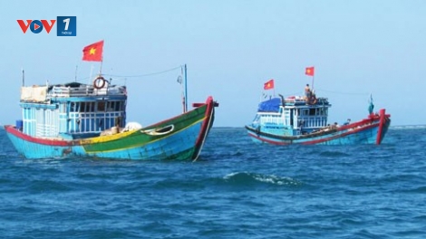 Những chính sách hỗ trợ ngư dân vươn khơi bám biển (10/1/2019)
