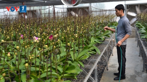 Thu hút nông dân hướng đến mô hình nông nghiệp công nghệ cao (8/1/2019)