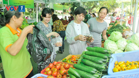 Hợp tác xã – kênh phân phối sản phẩm nông nghiệp an toàn (26/1/2019)